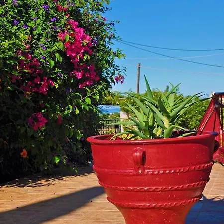 Apartment Rosa Kreta / Old