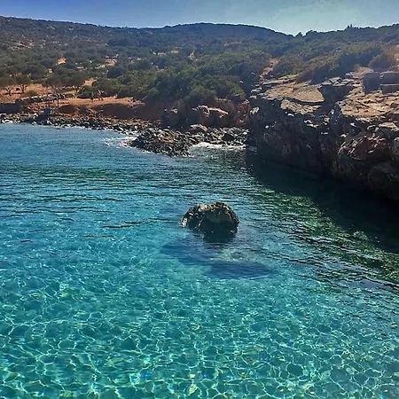 Rosa Kreta / Old *