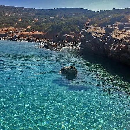 Rosa Kreta / Old *