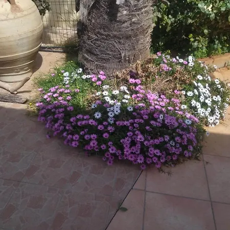 Apartment Rosa Kreta / Old Hersonissos (Crete)